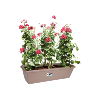 barcelona xl 80cm taupe